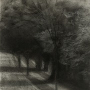 Through the Trees